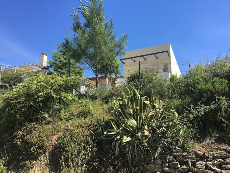 Villa A Casa Da Lua à Tomar Extérieur photo